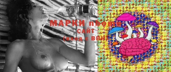 трава Зеленокумск