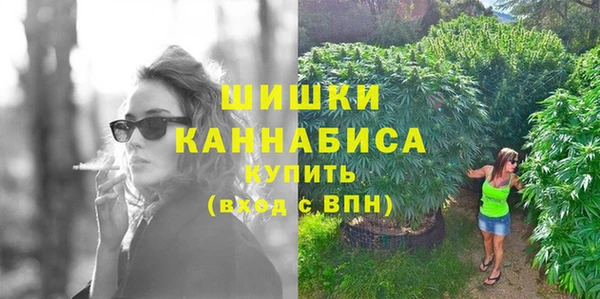 мдпв Зеленодольск