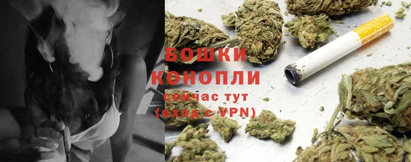 трава Зеленокумск